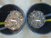 Vangstverschil tussen de zandwinput links buiten, rechts in, foto door Rob witbaard. DSCN1651